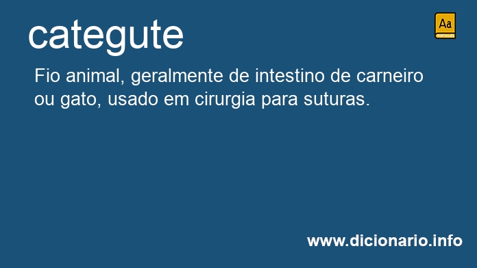 Significado de categute