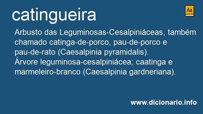 Significado de catingueiras