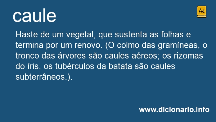 Significado de caule