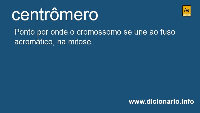 Significado de centrmero