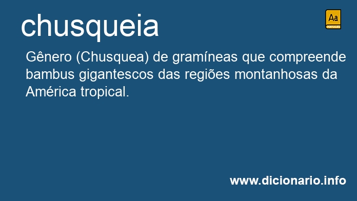 Significado de chusqueia