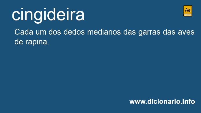 Significado de cingideira