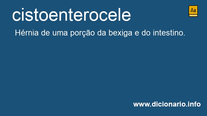 Significado de cistoenterocele