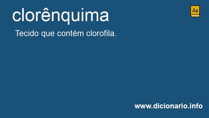 Significado de clornquima