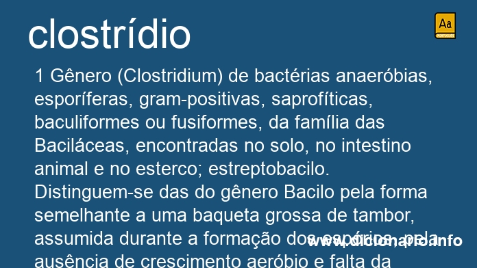 Significado de clostrdia