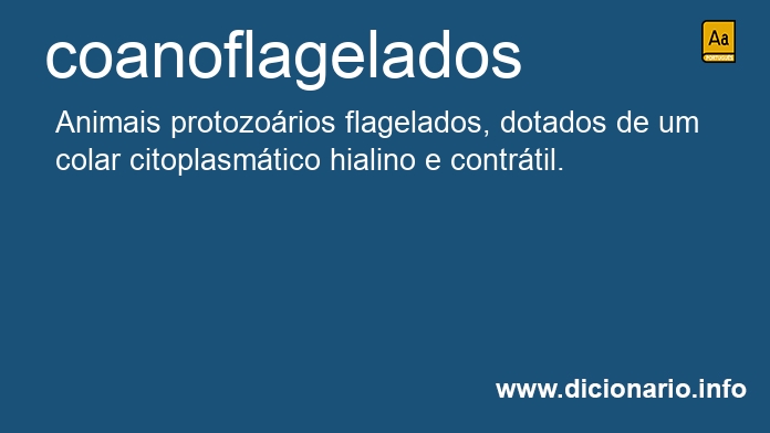 Significado de coanoflagelados