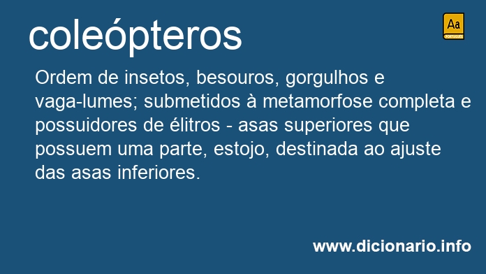 Significado de colepteros