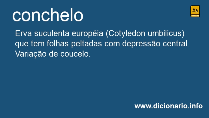 Significado de conchelo