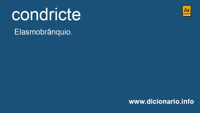 Significado de condricte