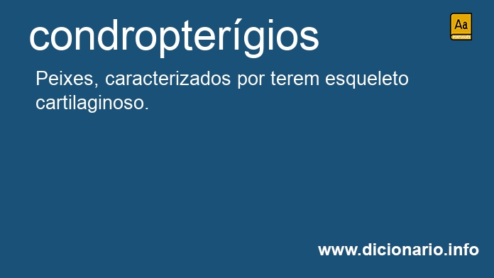 Significado de condroptergios