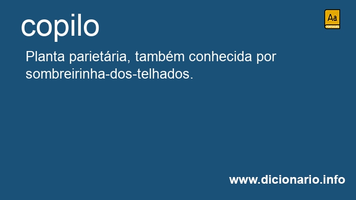 Significado de copilo