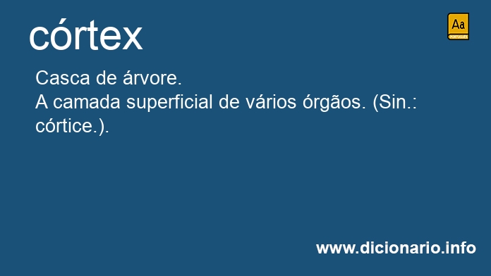 Significado de crtex