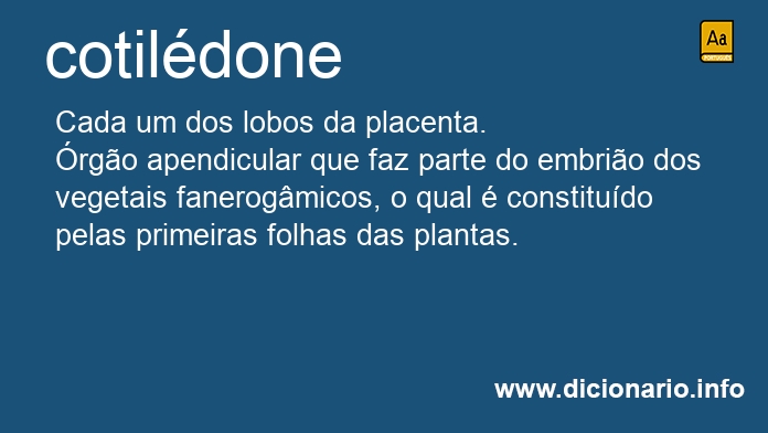 Significado de cotildone