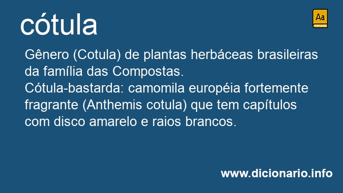 Significado de ctula