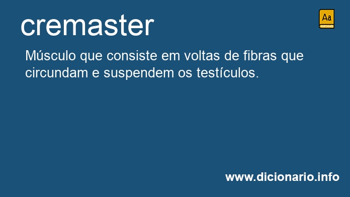 Significado de cremaster