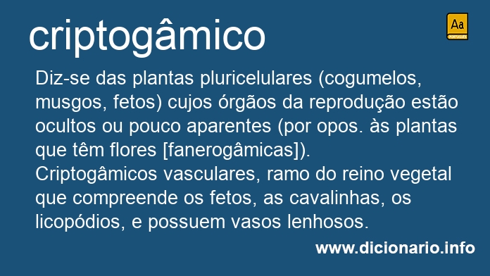 Significado de criptogmicos