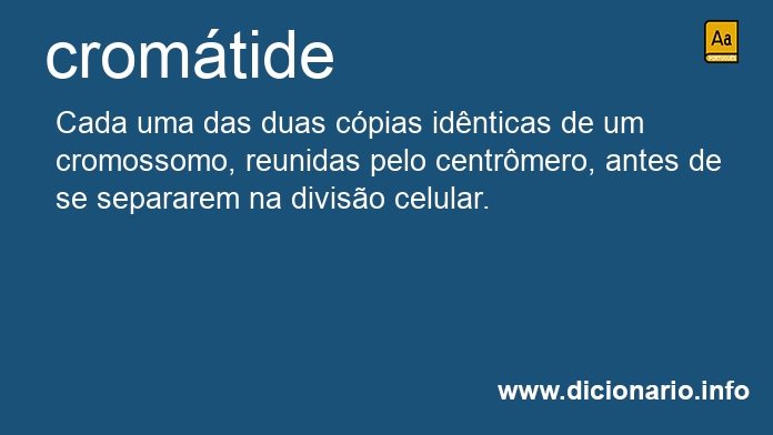 Significado de cromtide