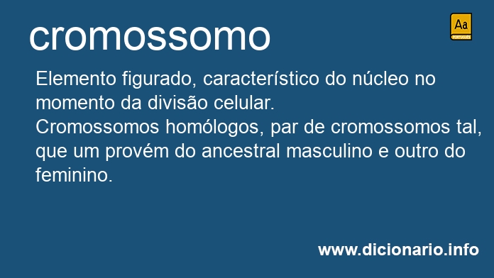 Significado de cromossomo