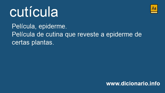 Significado de cutcula