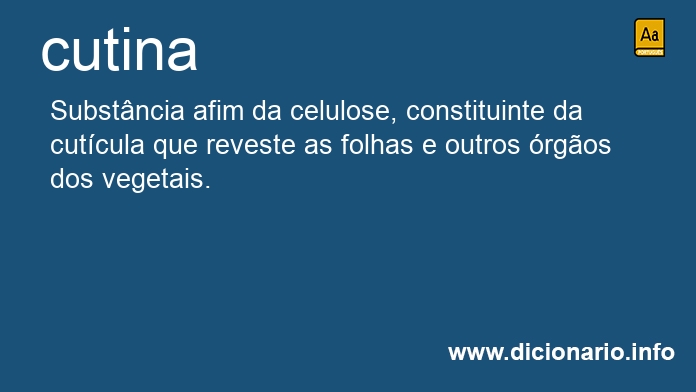 Significado de cutina