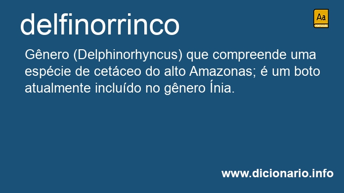 Significado de delfinorrinco