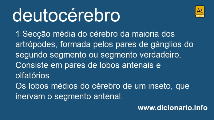 Significado de deutocrebro