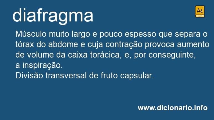 Significado de diafragma