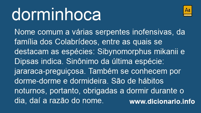 Significado de dorminhoca