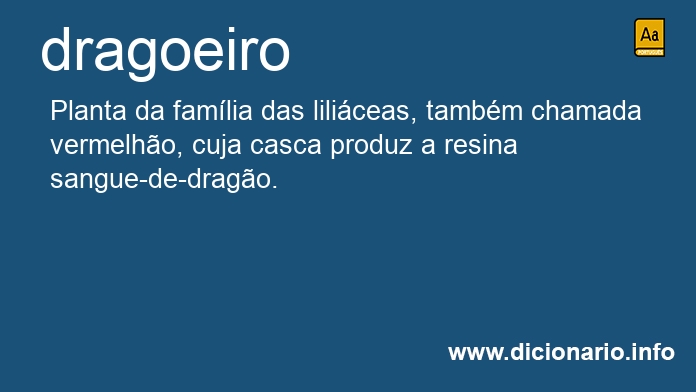 Significado de dragoeiro