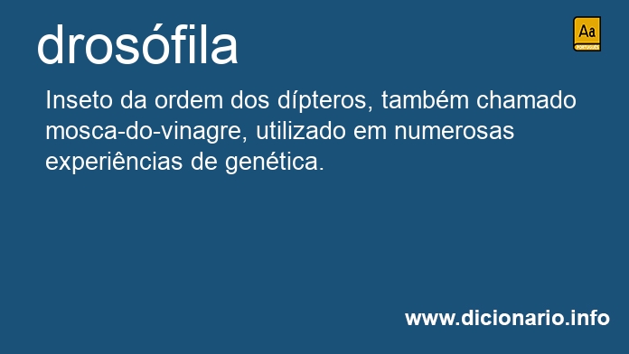 Significado de drosfila