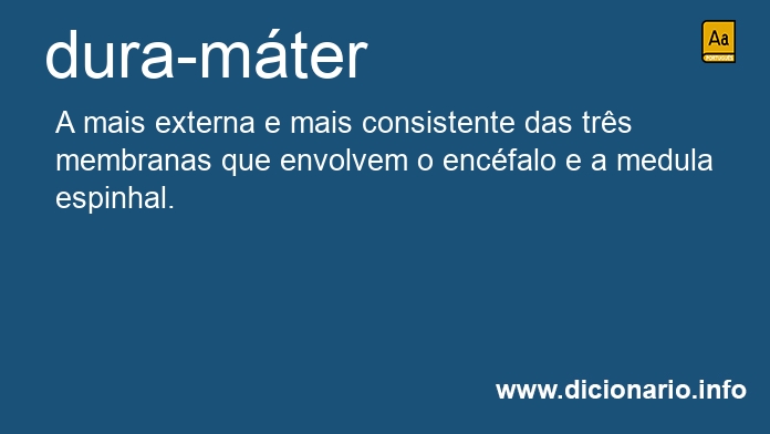 Significado de dura-mter