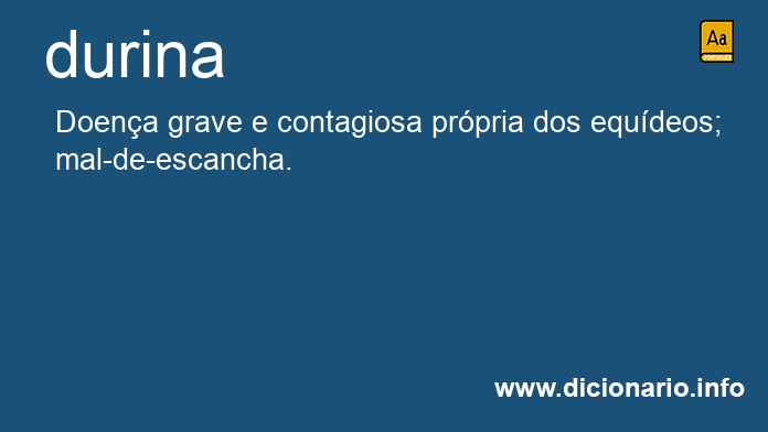 Significado de durina