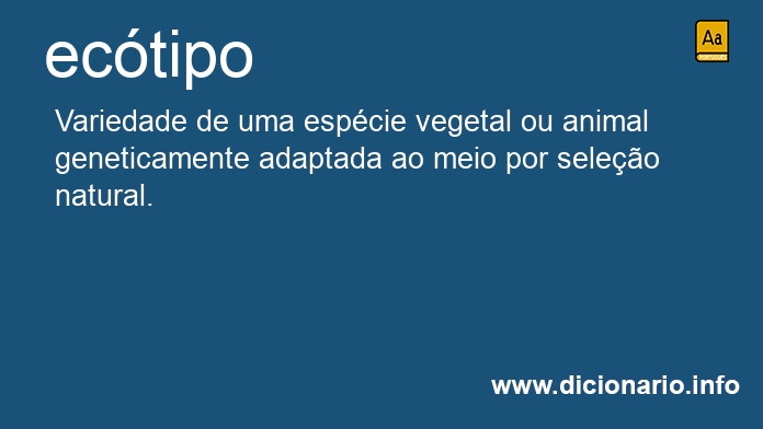 Significado de ectipo