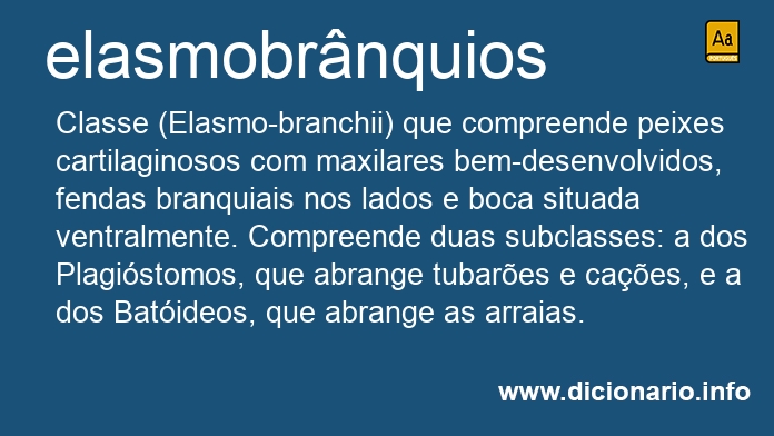 Significado de elasmobrnquios