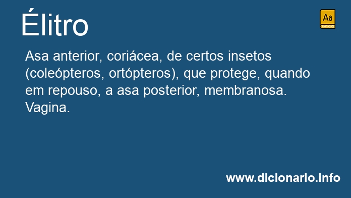 Significado de litro