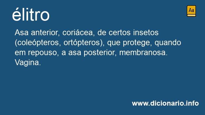 Significado de litros