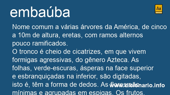 Significado de embaba