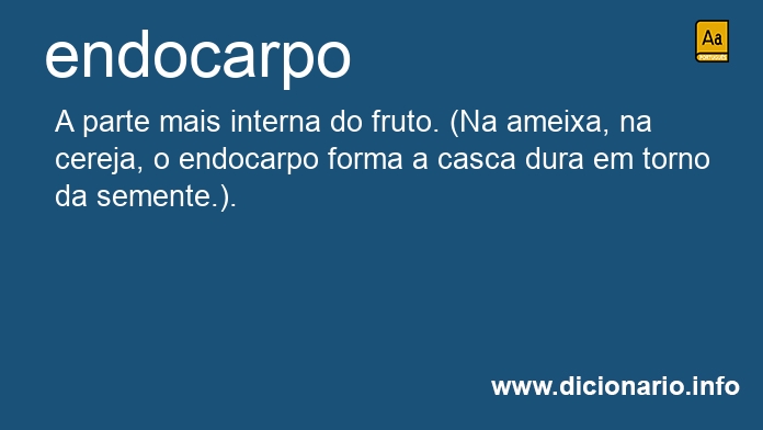 Significado de endocarpo