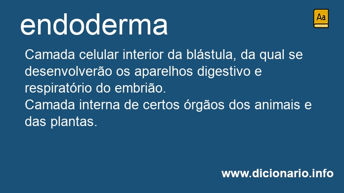 Significado de endoderma