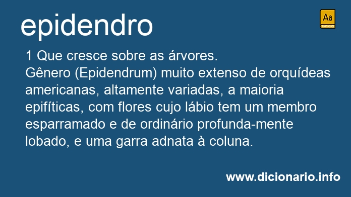 Significado de epidendro