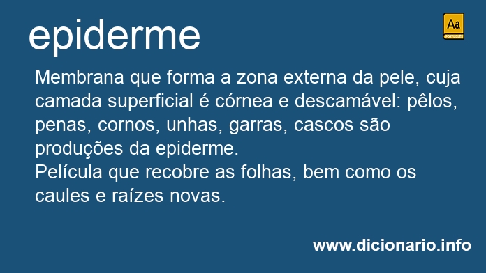 Significado de epiderme