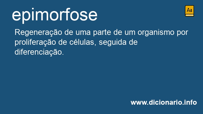 Significado de epimorfose