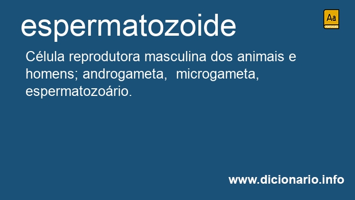 Significado de espermatozoides