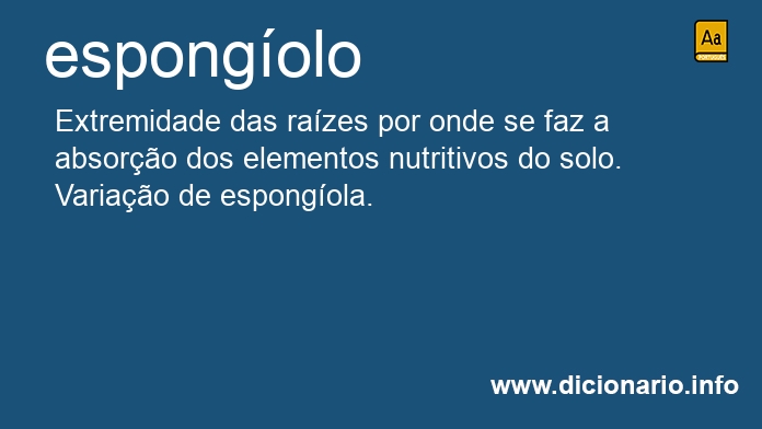 Significado de espongolo