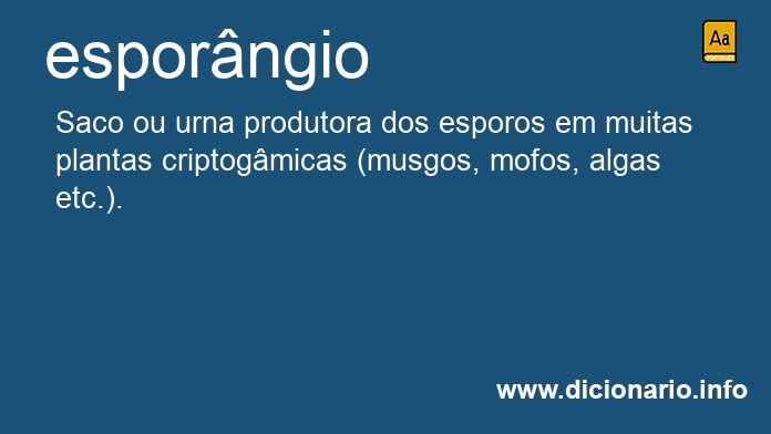 Significado de esporngio