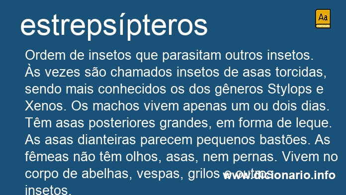 Significado de estrepspteros