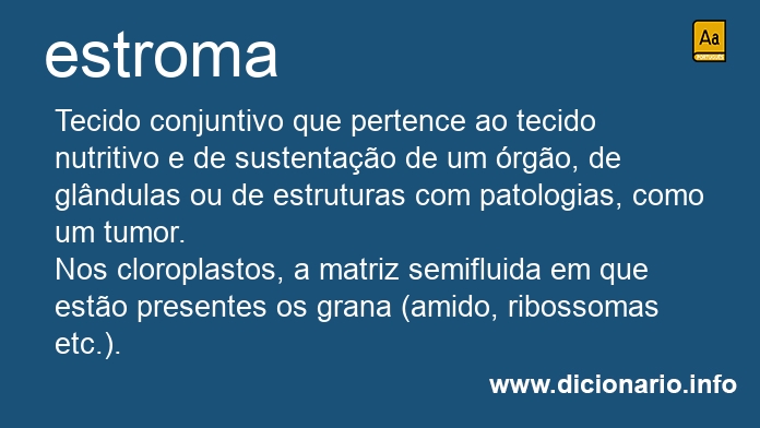 Significado de estroma