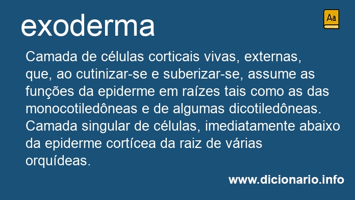 Significado de exoderma