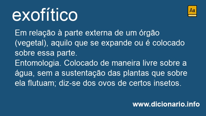 Significado de exoftico