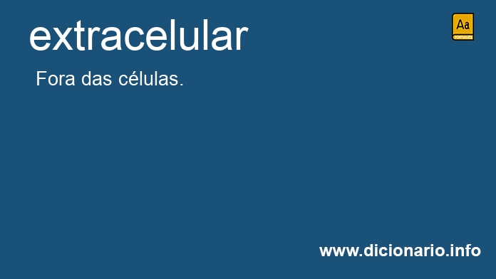 Significado de extracelular